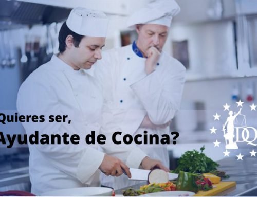 Que se Necesita para ser Ayudante de Cocinero | DQ