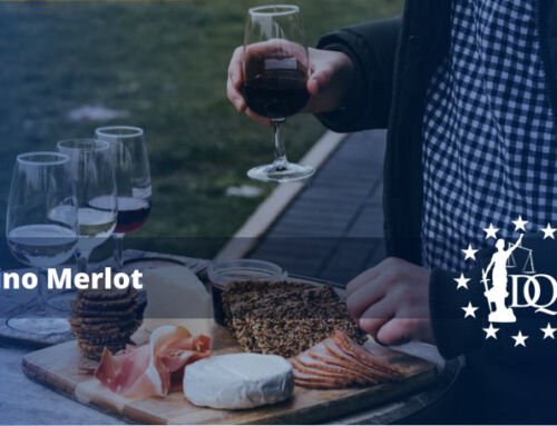 ¿Qué es el Merlot en Vinos? | Doctrina Qualitas