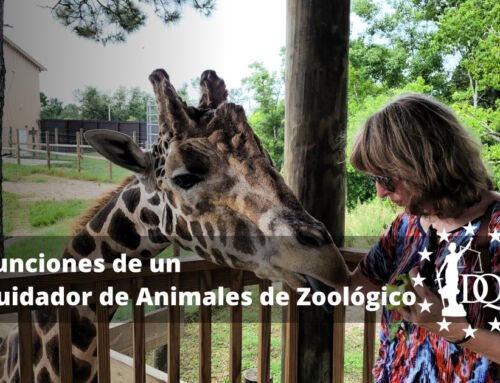 Funciones de un Cuidador de Animales de Zoológico