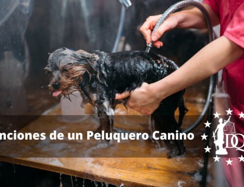 Funciones de un Peluquero Canino